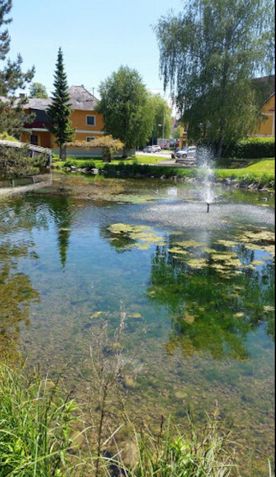 Blick vom See zum Lokal
