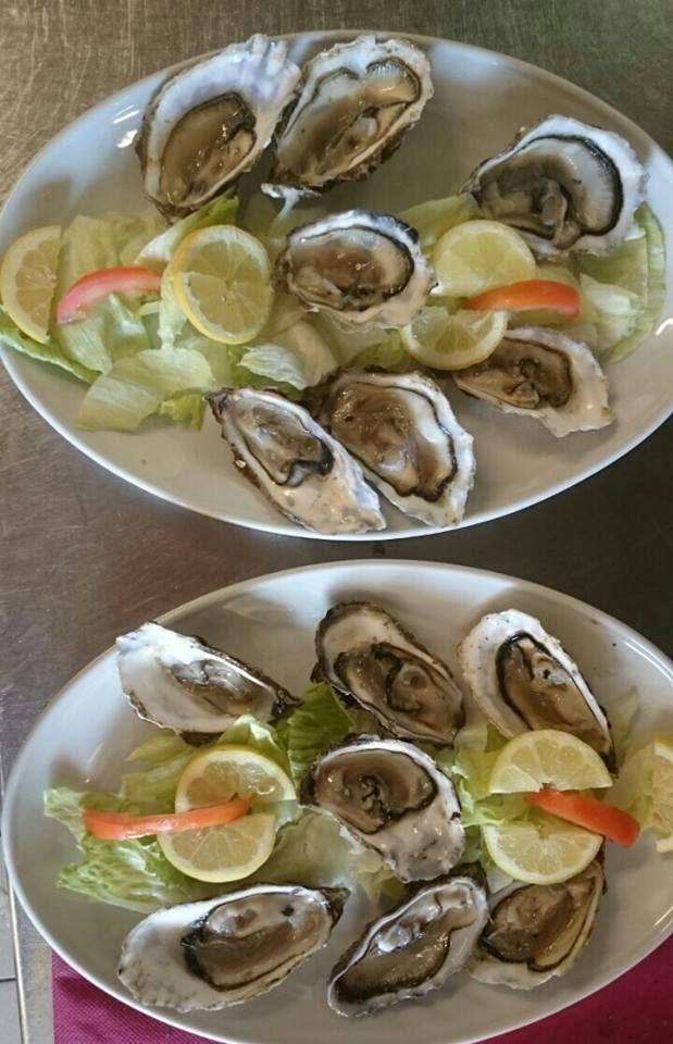 Muscheln