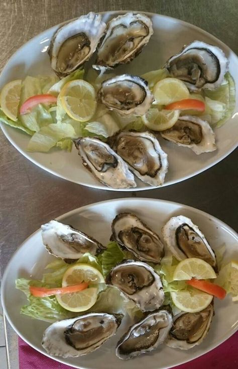 Muscheln
